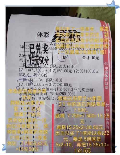 全面剖析世界杯竞猜平台的实际使用感受
